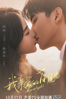 丰县网站推广优化价格